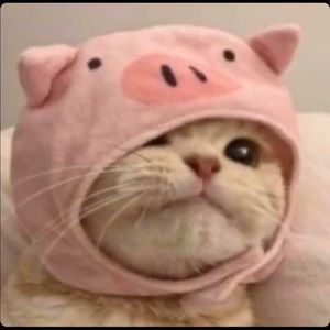 Meet your Posher, Steve